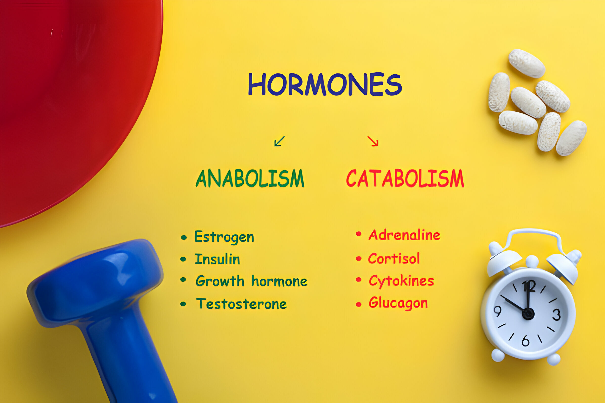 The Science of Hormones and Their Impact on Fitness